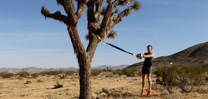 TRX Circuit
